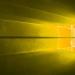 Windows 10 免費升級已經開始廣泛推送,預計今晚解禁升級